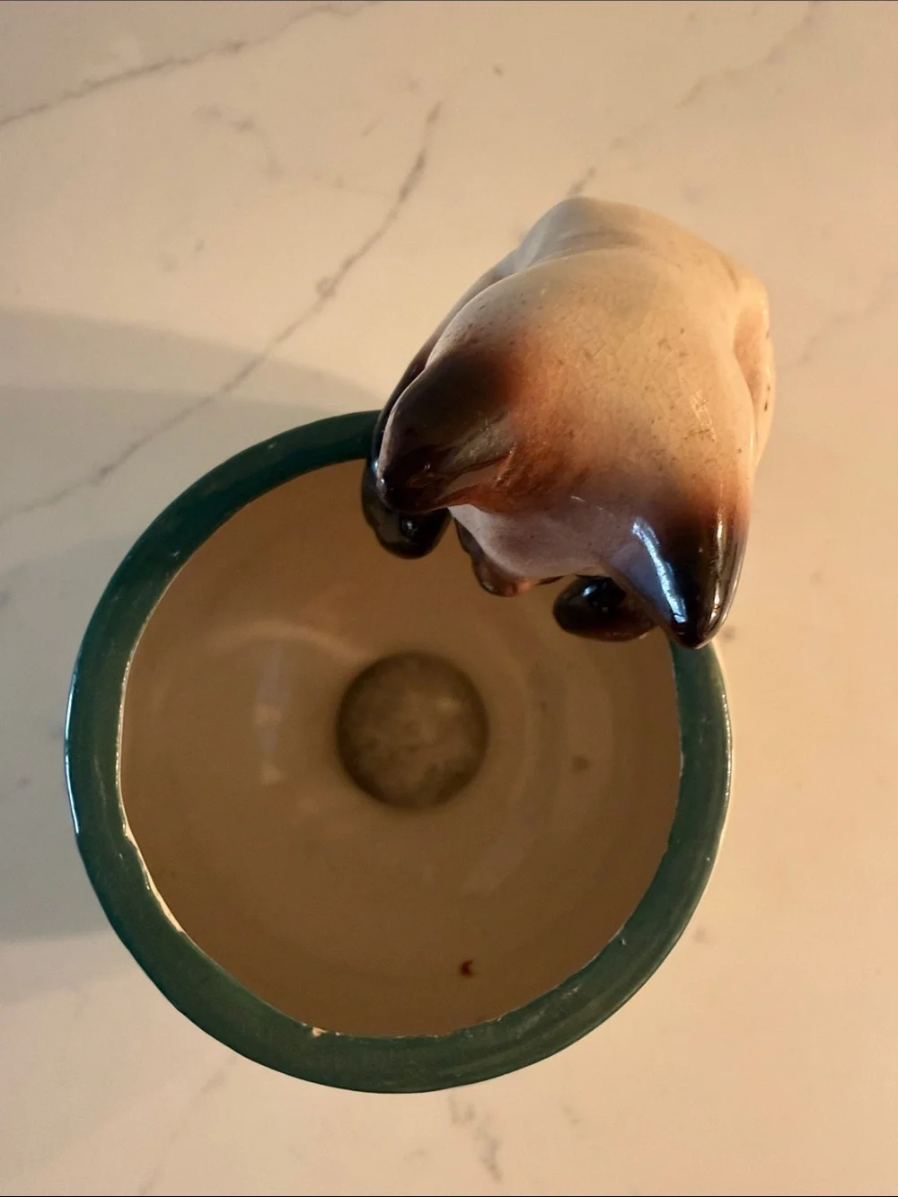 Vintage Siamese Cat on Cup